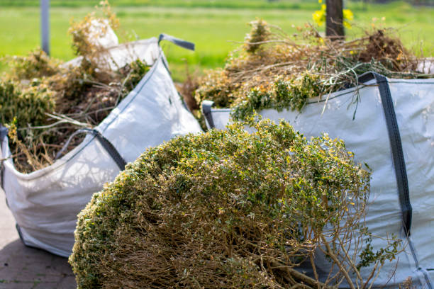Best Local Junk Hauling  in Cattaraugus, NY
